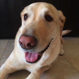 Meet your Posher, Becky